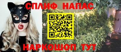 Альфа ПВП Нальчик