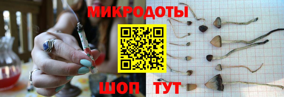 Псилоцибиновые грибы Cubensis Тверь