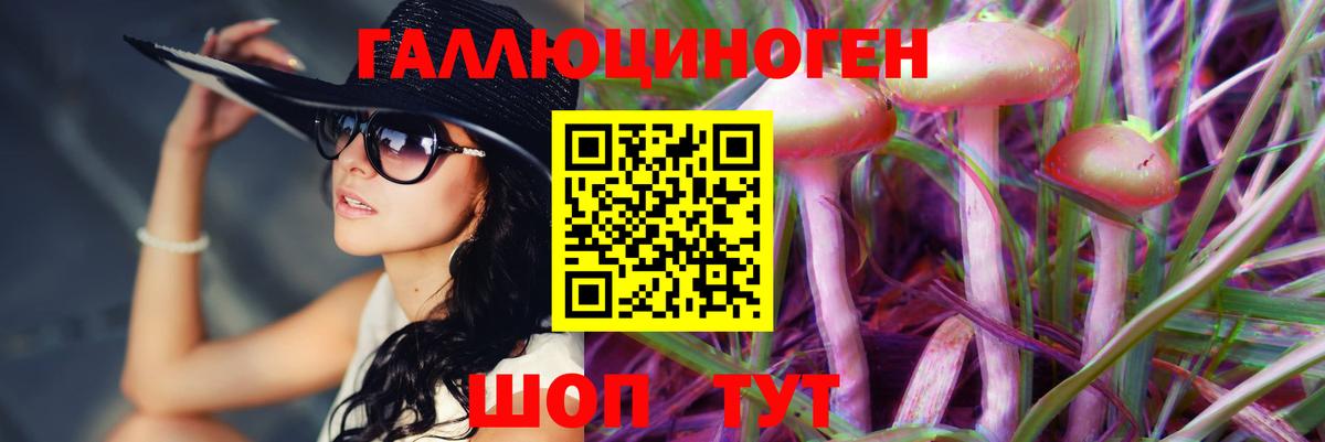 Галлюциногенные грибы Magic Shrooms  где продают   Тверь  Вход с VPN  Галлюциногенные грибы мухоморы 